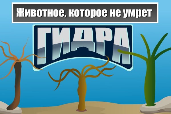 Kraken официальный сайт вход