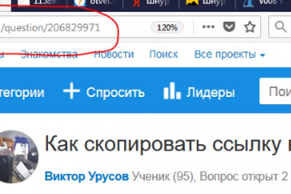 Kraken актуальные зеркала krakentor site