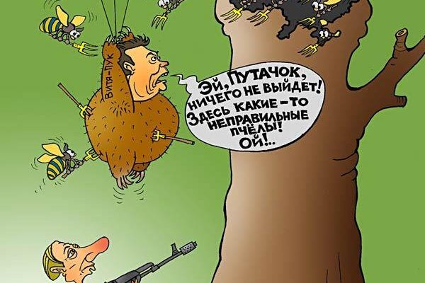 Как восстановить аккаунт кракен