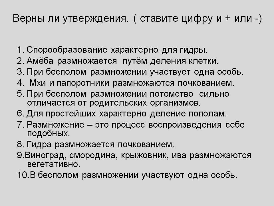 Ссылки на кракен маркетплейс