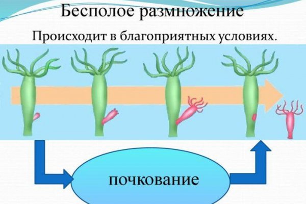 Ссылка для входа на сайт kraken