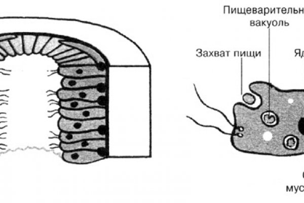 Кракен маркетплейс ссылка