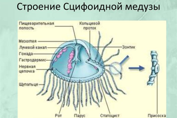 Кракен ссылка купить соли