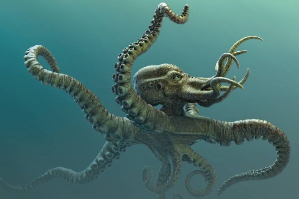 Кракен даркнет площадка kraken 11